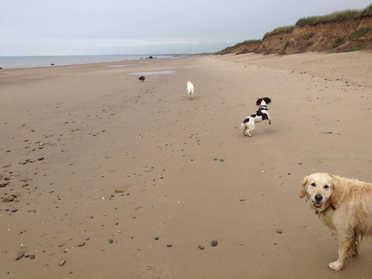 Luxury Dog Friendly Cottage Sleeps 4 Bridlington Εξωτερικό φωτογραφία